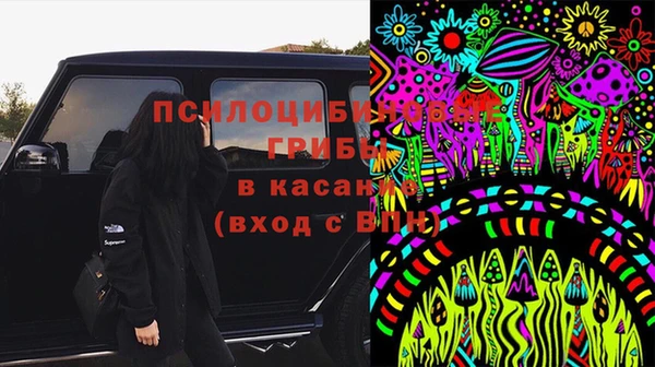 сатива Белокуриха