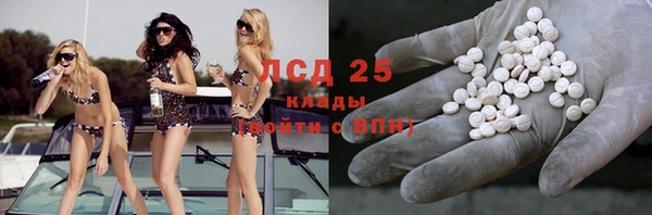 сатива Белокуриха