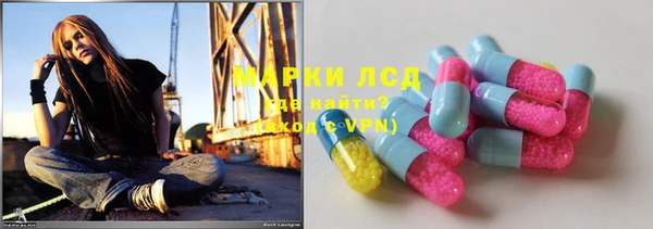 сатива Белокуриха