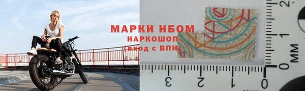 сатива Белокуриха