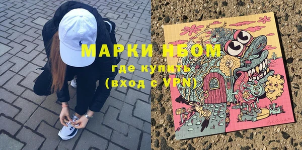 сатива Белокуриха