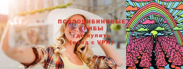 сатива Белокуриха
