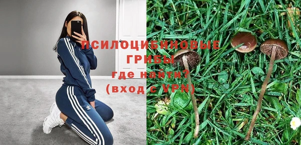сатива Белокуриха